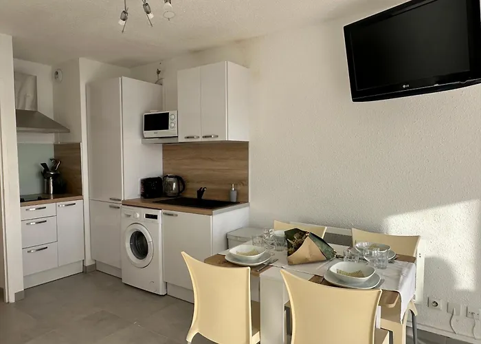 - Les Pieds Dans L'eau En Toutes Saisons 4 Couchages - Climatisation - Parking Privé - Piscine Sur - Vue Magnifique Et Rare - Situation Optimum - Les Argonautes - Ile Des Pêcheurs - Cap D'agde Apartamento
